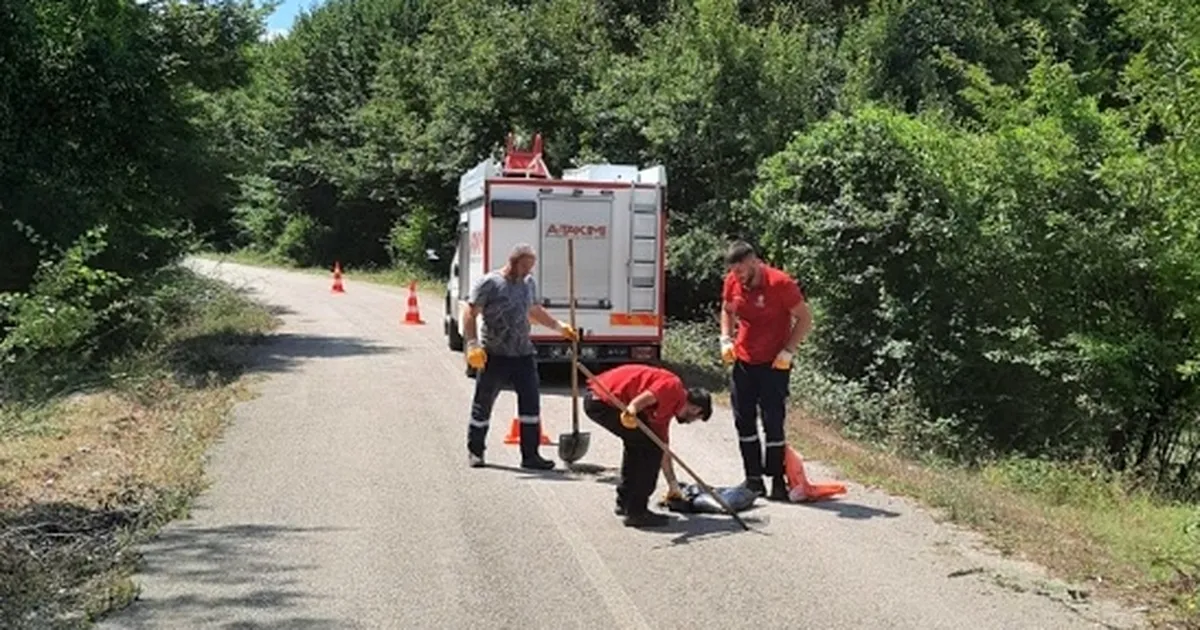 Kocaeli’nin A Takımı, yıl boyunca “Hızır” gibi yetişti